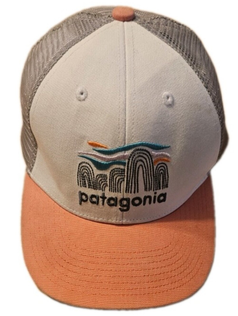 Patagonia Snapback Hat Fitz Roy Trucker Cool Graphic Mountain Design EUC